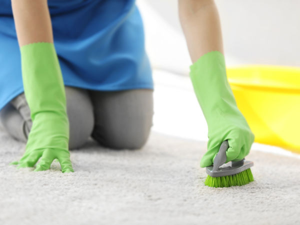 pranje tepiha dubinsko pranje tepiha 